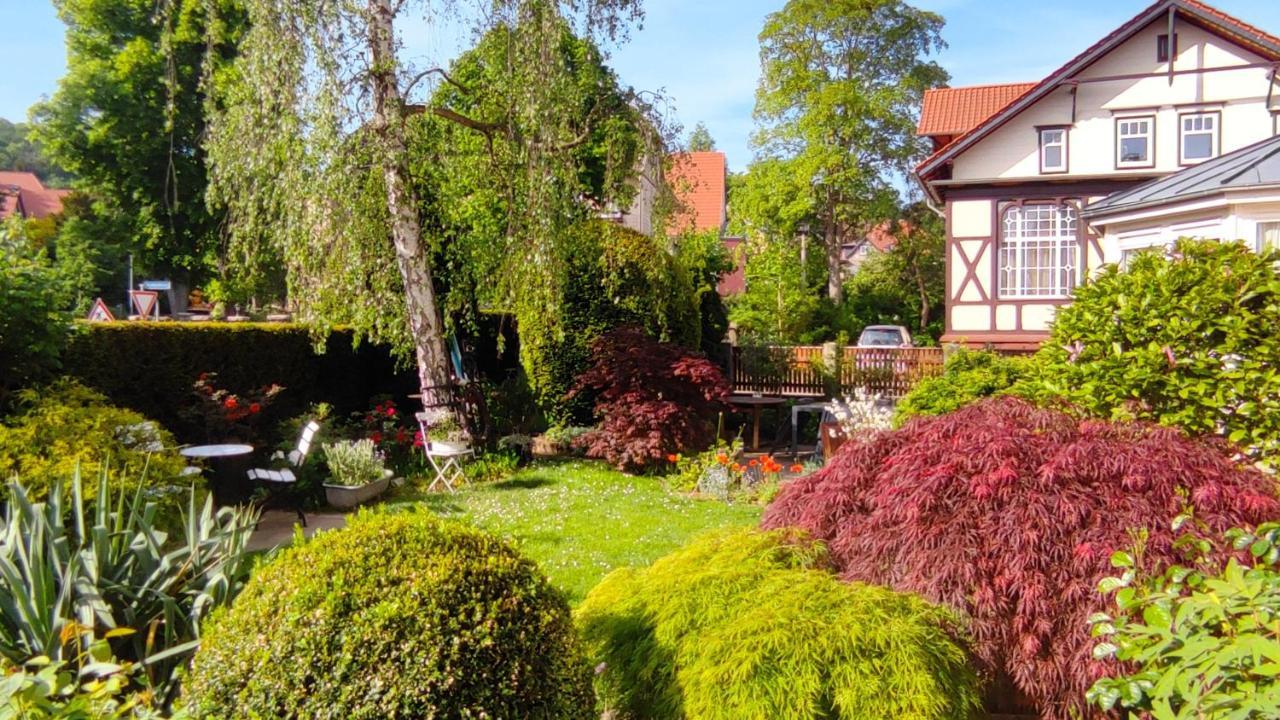 Fewo Am Wetzstein Wernigerode Exteriör bild